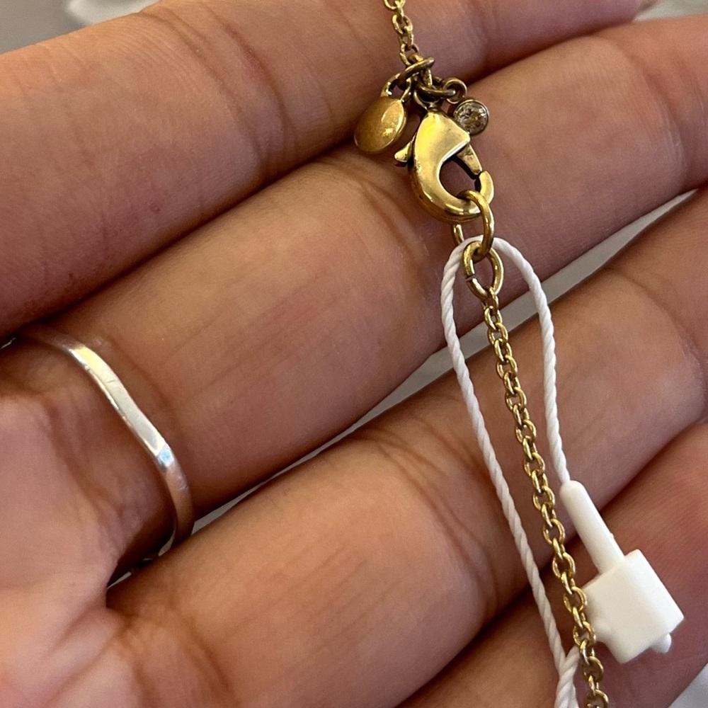 Ann Taylor Monkey Charm Tassel Necklace - Picture 4 of 4